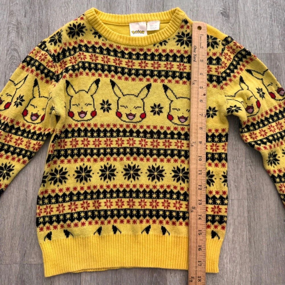 Pokemon pikachu holiday